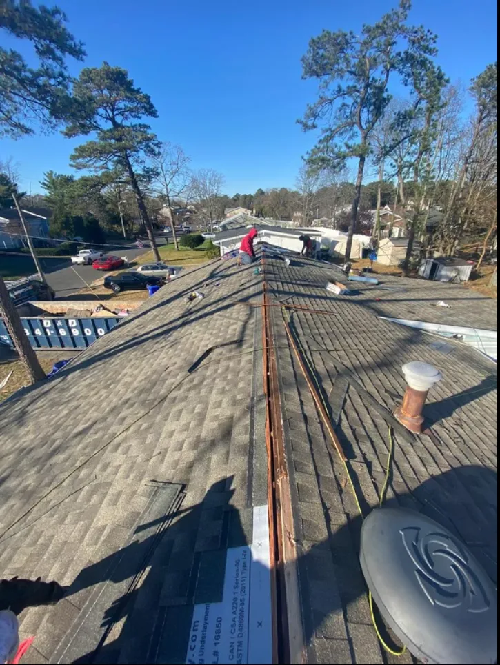 A roofer at the ridge of a shingle roof surrounded by pine trees